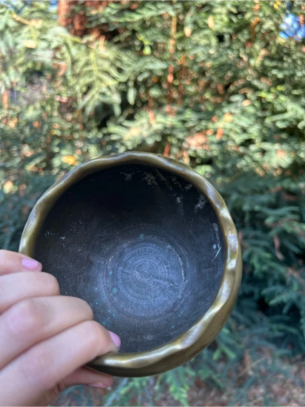 vintage antique bronze jardinière or planter features a charming scalloped rim